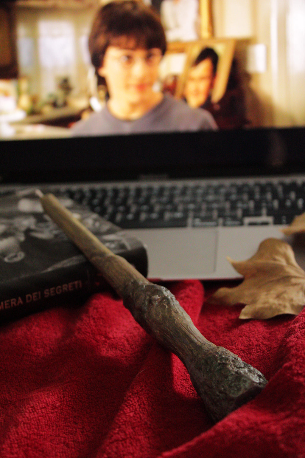 Bacchetta di Harry Potter