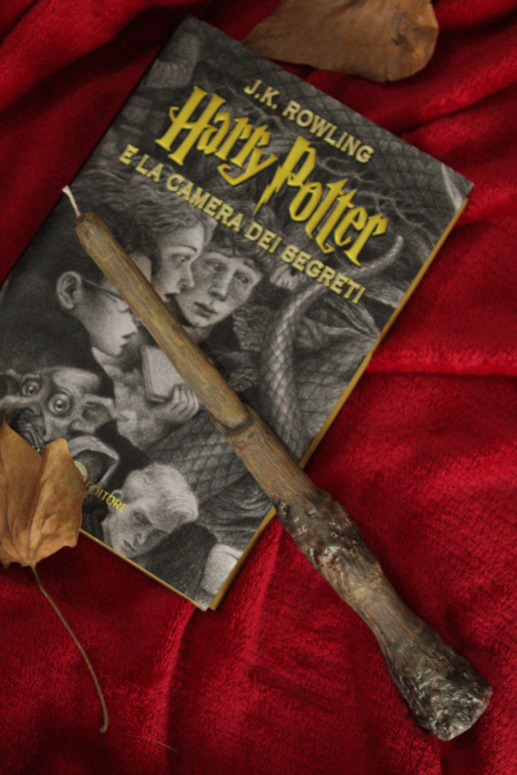 Bacchetta di Harry Potter