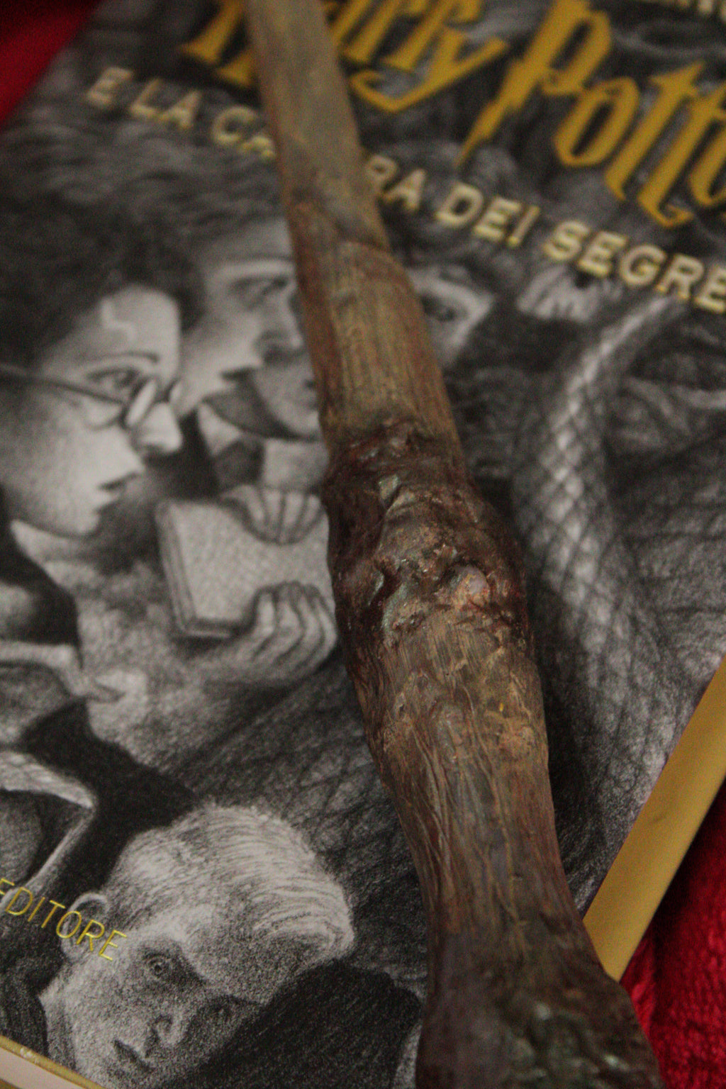 Bacchetta di Harry Potter